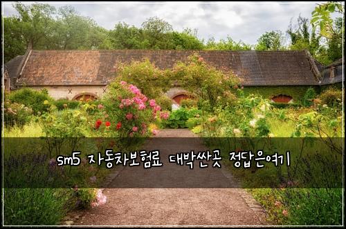 sm5 ์๋์ฐจ๋ณดํ๋ฃ ๋๋ฐ์ผ๊ณณ ์ ๋ต์์ฌ๊ธฐ