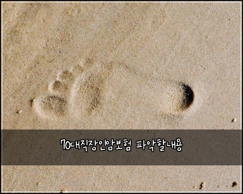 70대직장인암보험 파악할내용 