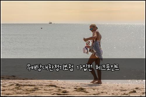 무배당대한정기보험 가입전 체크포인트