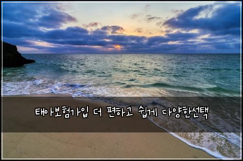 태아보험가입 더 편하고 쉽게 다양한선택