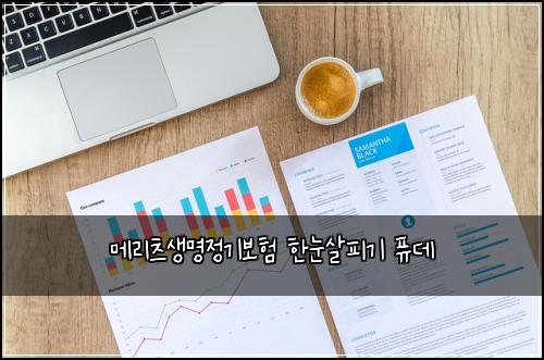 메리츠생명정기보험 한눈살피기  퓨데