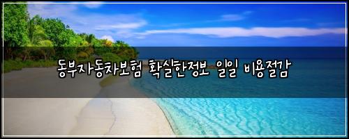 동부자동차보험 확실한정보  일일 비용절감