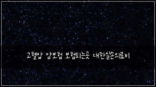 고혈압 암보험 보험되는곳  대한실손의료비