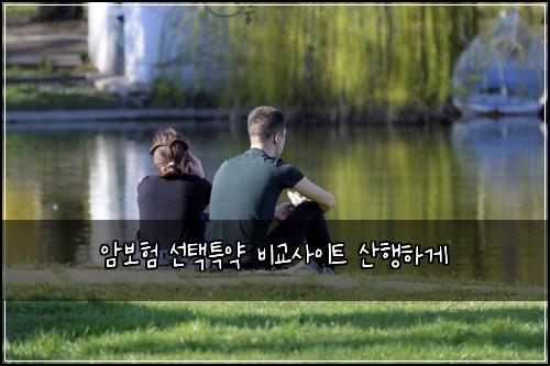 암보험 선택특약  비교사이트 산행하게