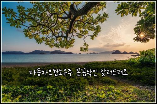 ์๋์ฐจ๋ณดํ์์ ์ฃผ ๊ผผ๊ผผํ์ธ ์๋ ค๋๋ ค์