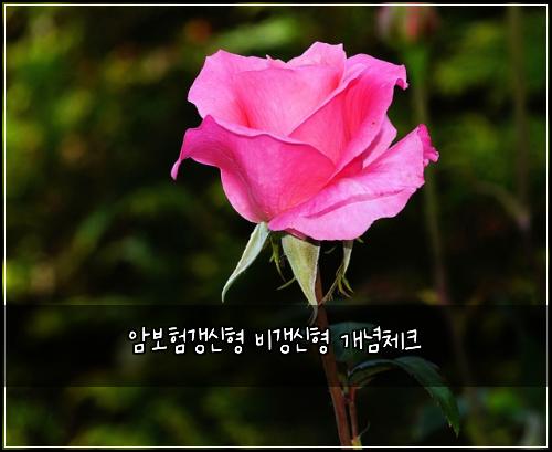 암보험갱신형 비갱신형 개념체크