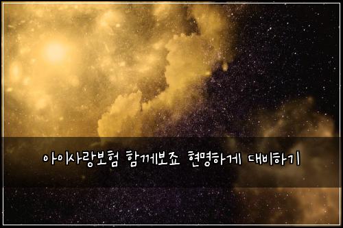 아이사랑보험 함께보죠  현명하게 대비하기