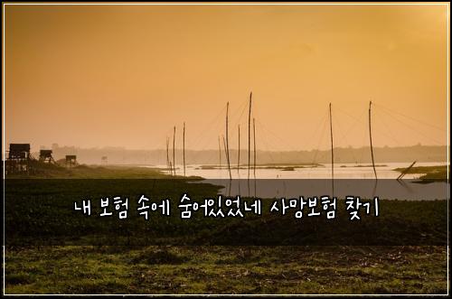내 보험 속에 숨어있었네 사망보험 찾기