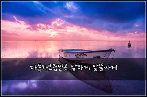 자동차보험싼곳 알차게 알뜰싸게