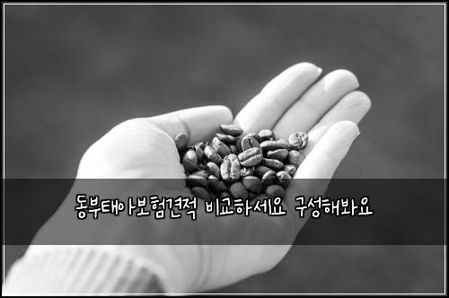 동부태아보험견적 비교하세요 구성해봐요