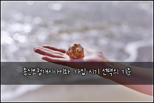 종신보험개시나이와 가입 시기 선택의 기준