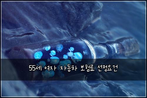 55세 여자 자동차 보험료 선정요건