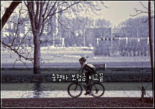 중형차 보험금 비교끝