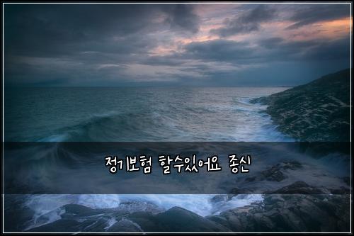 정기보험 할수있어요  종신
