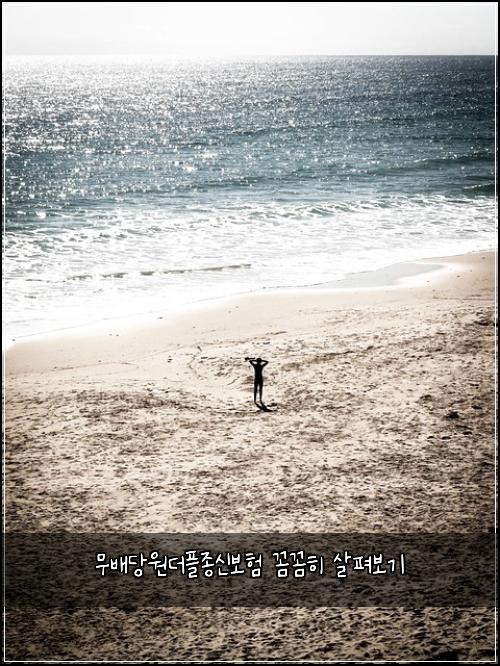 무배당원더플종신보험 꼼꼼히 살펴보기