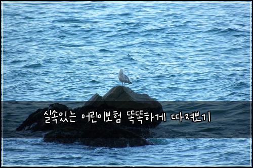 실속있는 어린이보험 똑똑하게 따져보기