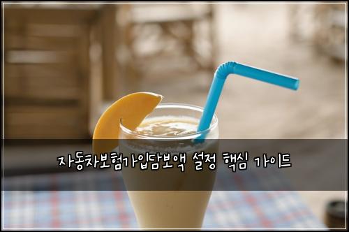 자동차보험가입담보액 설정 핵심 가이드