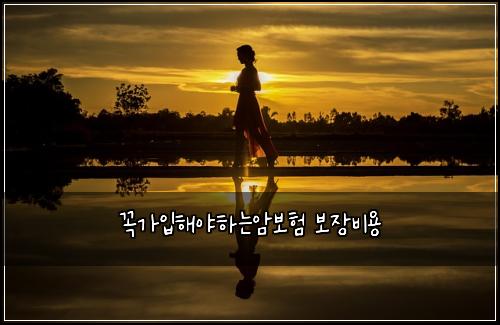 ๊ผญ๊ฐ์
ํด์ผํ๋์๋ณดํ ๋ณด์ฅ๋น์ฉ
