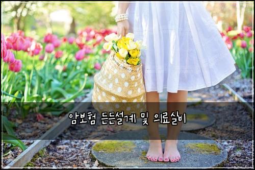 암보험 든든설계  및 의료실비