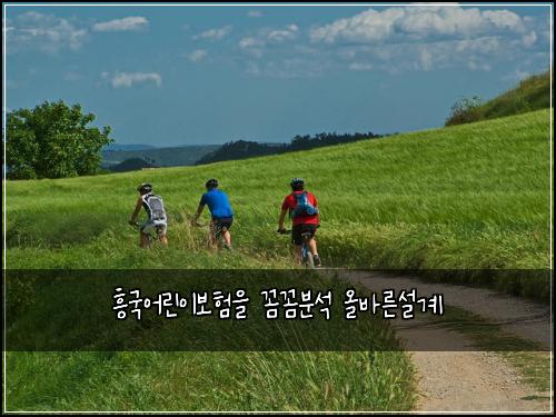 흥국어린이보험을 꼼꼼분석 올바른설계