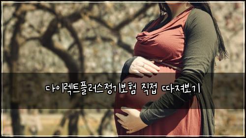 다이렉트플러스정기보험 직접 따져보기