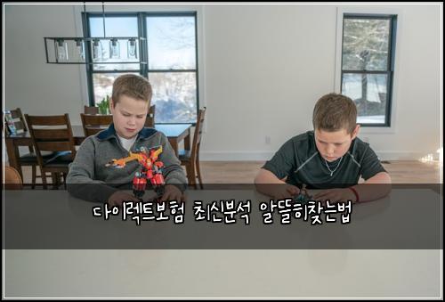 다이렉트보험 최신분석  알뜰히찾는법