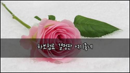 ์ฐจ๋ณดํ๋ฃ ๊ฒฐ์ ํ ์ฌ๊ธฐ์ข๋ค