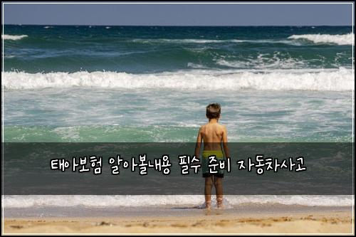 태아보험 알아볼내용  필수 준비 자동차사고