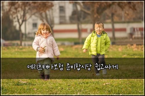 ๋ฉ๋ฆฌ์ธ ํ์๋ณดํ ์ค๋นํฉ์๋น ์ฝ๊ณ ์ธ๊ฒ