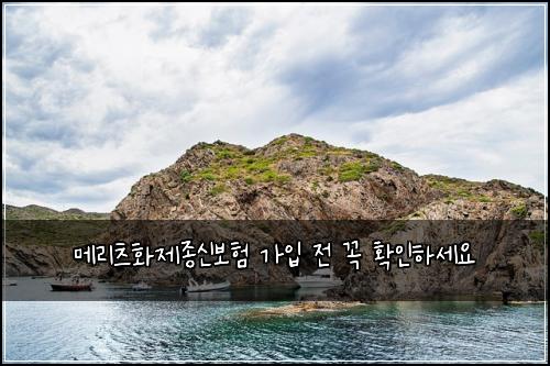 메리츠화제종신보험 가입 전 꼭 확인하세요