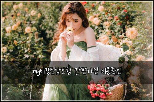 mg비갱신암보험 간편가입  비용확인
