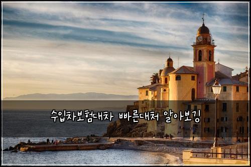 수입차보험대차 빠른대처 알아보깅