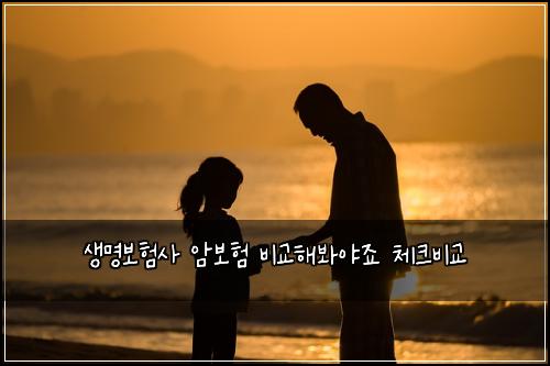 ์๋ช
๋ณดํ์ฌ ์๋ณดํ ๋น๊ตํด๋ด์ผ์ฃ ์ฒดํฌ๋น๊ต
