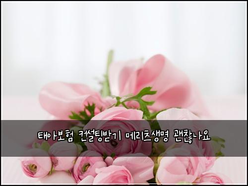 태아보험 컨설팅받기  메리츠생명 괜찮나요