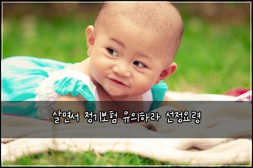 ์ด๋ฉด์ ์ ๊ธฐ๋ณดํ ์ ์ํ๋ผ ์ ์ ์๋ น