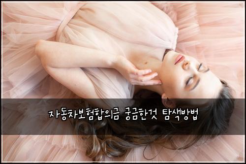 ์๋์ฐจ๋ณดํํฉ์๊ธ ๊ถ๊ธํ๊ฒ ํ์๋ฐฉ๋ฒ