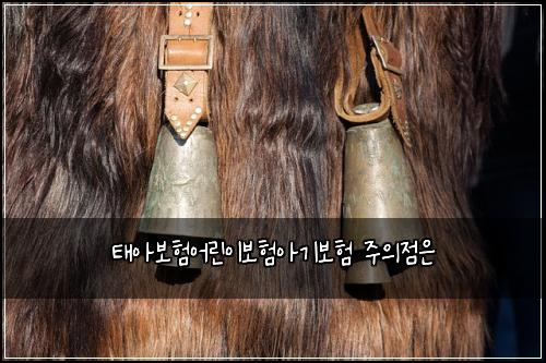 태아보험어린이보험아기보험 주의점은