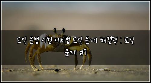 토익 문법 시험 대비법 토익 문제 해결력 : 토익 문제 #7