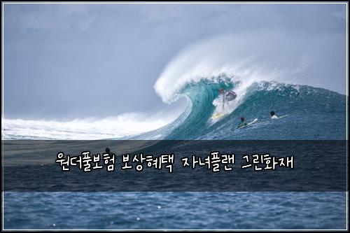 원더풀보험 보상혜택  자녀플랜 그린화재
