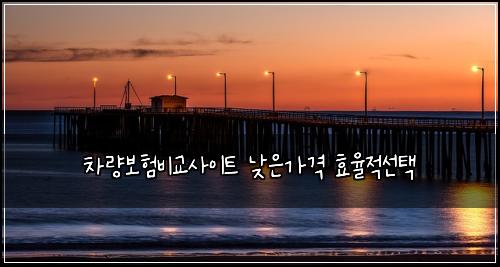 차량보험비교사이트 낮은가격 효율적선택