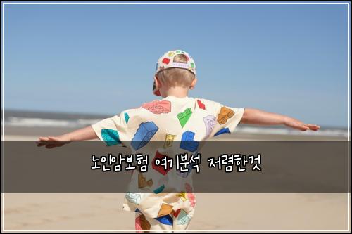 노인암보험 여기분석  저렴한것