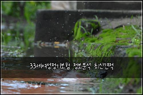 33세여성정기보험 정보분석  최신견적