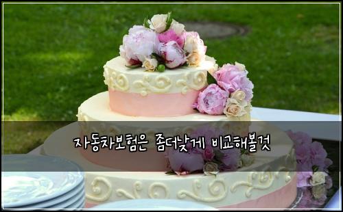 자동차보험은 좀더낮게 비교해볼것