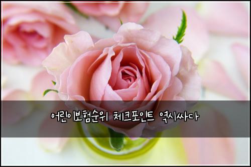 어린이보험순위 체크포인트 역시싸다
