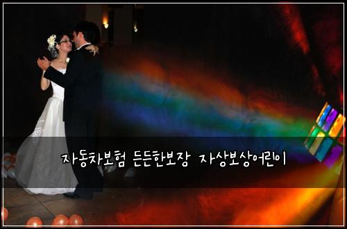 ์๋์ฐจ๋ณดํ ๋ ๋ ํ๋ณด์ฅ ์์๋ณด์์ด๋ฆฐ์ด