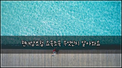 현대암보험 요목조목  무엇인지 알아봐요