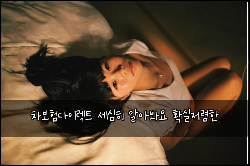 차보험다이렉트 세심히 알아봐요 확실저렴한
