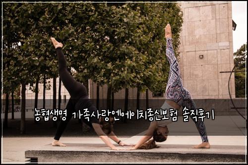 농협생명 가족사랑엔에이치종신보험 솔직후기