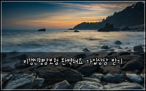 ๋น๊ฐฑ์ ํ์๋ณดํ ์๋ฒฝํด์ ๊ฐ์
์๋ด ๋ฐ๊ธฐ