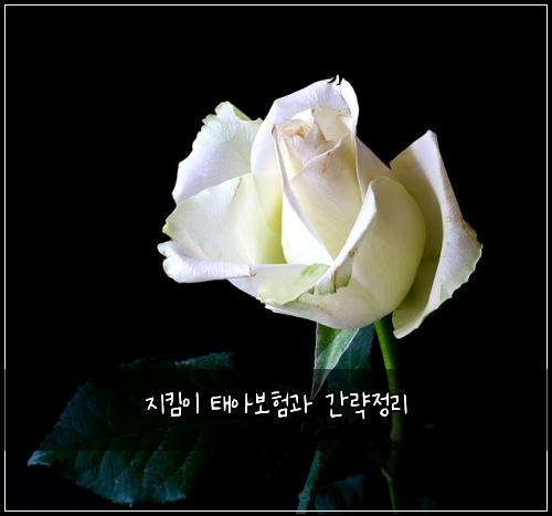 지킴이 태아보험과 간략정리